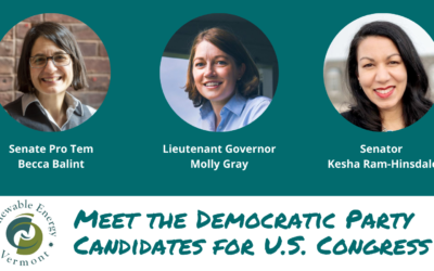 REV Hosts Renewable Energy Discussion with Candidates for Congress